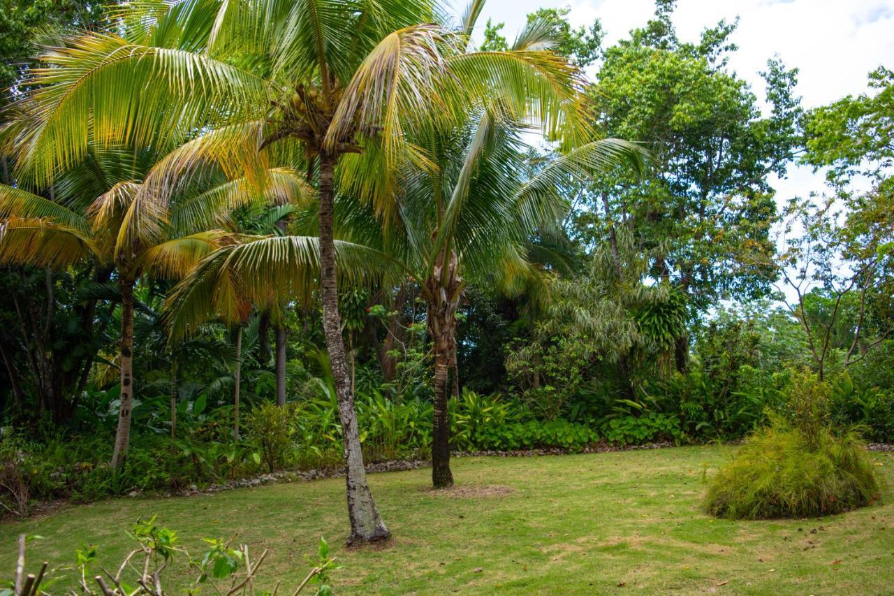 M Hotel Port Antonio Exteriör bild